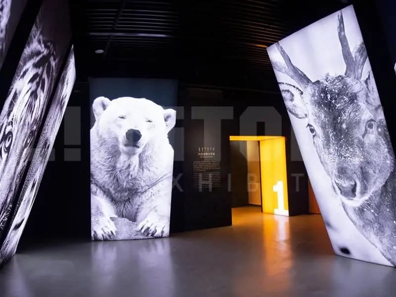MSS0001 Endangered Animal Exhibition at Inner Mongolia Natural History Museum